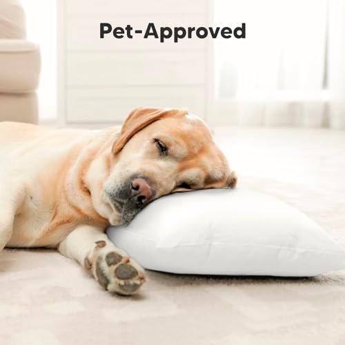 Toddler Pillow with Pillowcase - 13x18 My Little Dreamy Pillow, Organic Cotton Toddler Pillows for Sleeping, Kids Pillow, Travel Pillows, Mini Pillow, Nursery Pillow, Toddler Bed Pillow (Soft White) - Image 8